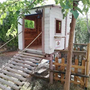 Azienda Agrituristica Le Betulle Gospodarstwo agroturystyczne